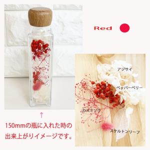ハーバリウム 花材 青 白 黄 赤 ピンク ド...の詳細画像5