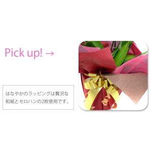 胡蝶蘭 大輪 3本立ち 60輪以上 つぼみ込み...の詳細画像4
