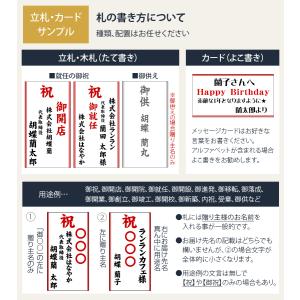 MIYABI 胡蝶蘭コットンキャンディ 大輪5...の詳細画像3