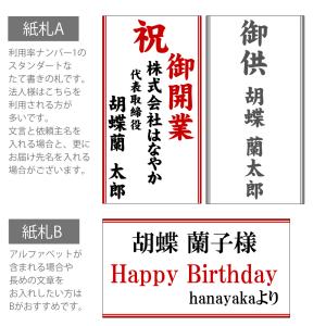 MIYABI 胡蝶蘭コットンキャンディ 大輪5...の詳細画像2