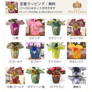 胡蝶蘭 大輪 10本立ち 90輪以上 つぼみ込...の詳細画像4