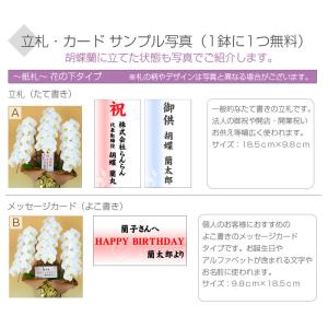 【北海道お届け専用】胡蝶蘭 白大輪 1本立ち ...の詳細画像2