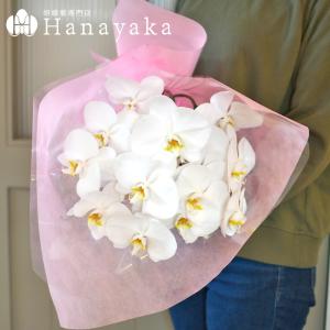 胡蝶蘭 白大輪 花束 切花 3本〜5本束 花色...の詳細画像3