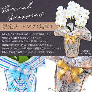 胡蝶蘭 ポイント7倍 蘭の活力剤プレゼント 大...の詳細画像4