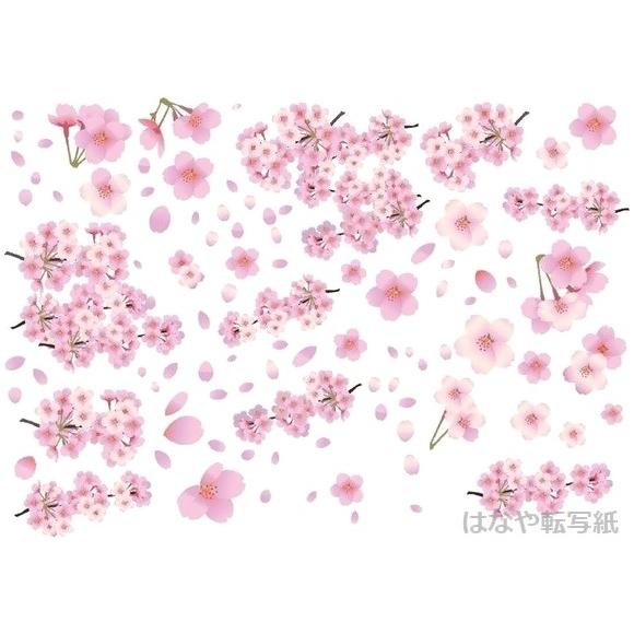 ポーセラーツ 白磁用転写紙 桜