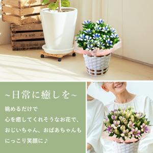 早割 敬老の日 2026 プレゼント ギフト ...の詳細画像5