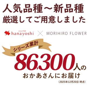 母の日 超早割 2026 花 カーネーション ...の詳細画像1