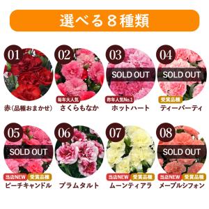 まだ間に合う ※一部地域を除く 母の日 202...の詳細画像3