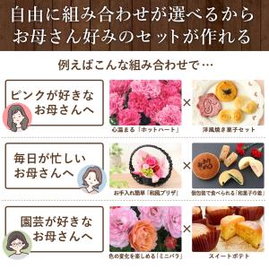 特早割 母の日 2026 花 花とスイーツ 選...の詳細画像4