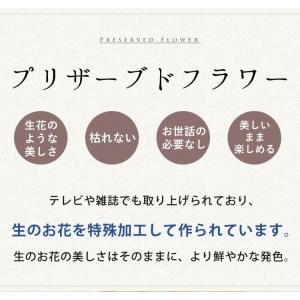プリザーブドフラワー ボックス お供え 仏花 ...の詳細画像1