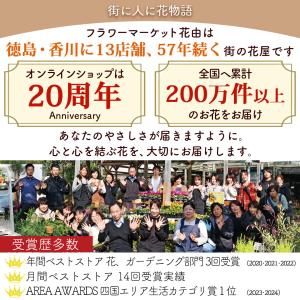 正月飾り リース 2WAY しめ飾り NAGO...の詳細画像3