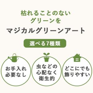NEW マジカルウォーター グラスガーデン ア...の詳細画像1