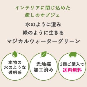 NEW マジカルウォーター グラスガーデン ア...の詳細画像2