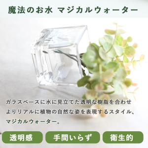 NEW マジカルウォーター グラスガーデン ア...の詳細画像4