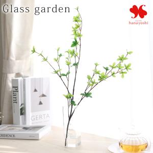 NEW マジカルウォーター グラスガーデン ロング ドーダンツツジ アートグリーン 光触媒 観葉植物 インテリア グリーン お祝い おしゃれ プレゼント ギフト
