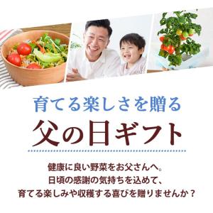 遅れてごめんね 父の日 花 ギフト 2026 ...の詳細画像1