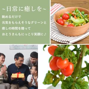 遅れてごめんね 父の日 花 ギフト 2026 ...の詳細画像3