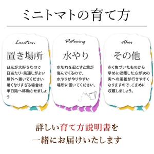 遅れてごめんね 父の日 花 ギフト 2026 ...の詳細画像5
