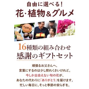 遅れてごめんね 父の日 花鉢 花 ギフト 20...の詳細画像1