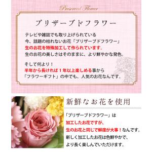 【30%OFF】サマーセール 枯れないお花 メ...の詳細画像3