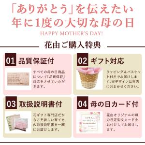 まだ間に合う ※一部地域を除く 母の日 花 ア...の詳細画像3