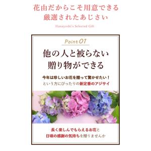 まだ間に合う ※一部地域を除く 母の日 花 ア...の詳細画像4