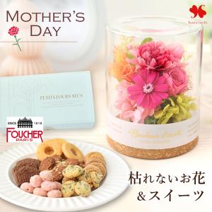 母の日 花 スイーツ 2026 プリザーブドフラワー ルヴェール 母の日ver プチフール・セック フーシェ 焼菓子 セット ガラス バラ スイーツセット 母 お母さん