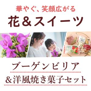 母の日 早割 2026 花 ギフト プレゼント...の詳細画像1