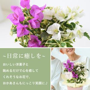 母の日 早割 2026 花 ギフト プレゼント...の詳細画像3