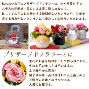 母の日 花 スイーツ 2026 プレゼント ギ...の詳細画像4