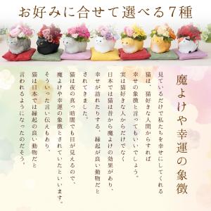 母の日 花 スイーツ 2026 プレゼント ギ...の詳細画像5