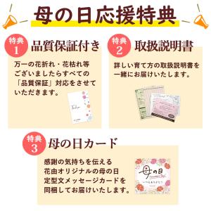 母の日 2026 ギフト 花 リース と スイ...の詳細画像3