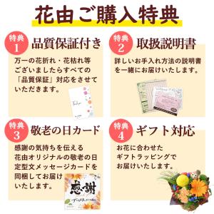 敬老の日 プレゼント ギフト 花 お菓子 20...の詳細画像3