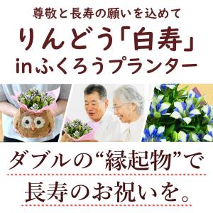 早割 敬老の日 2026 プレゼント ギフト ...の詳細画像1