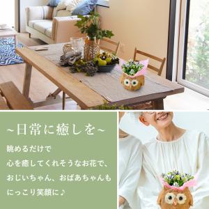 早割 敬老の日 2026 プレゼント ギフト ...の詳細画像4