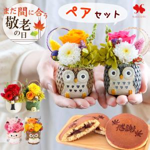 遅れてごめんね 敬老の日 プレゼント 花 お菓子 ふくろう