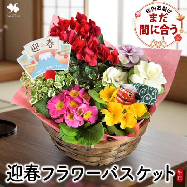 年内お届け お正月 送料無料 迎春フラワーバスケット 寄せ入れ 2026 午年 うま年 正月飾り 玄...