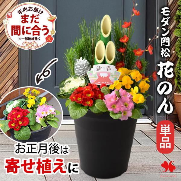 正月 年内お届け 門松 玄関 お正月 迎春 モダン門松 花のん 単品 寄せ植え仕立て 正月飾り お正...