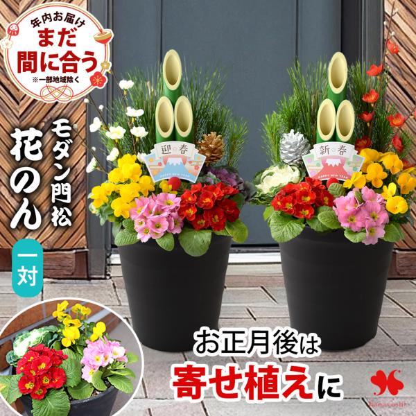 正月 年内お届け 門松 玄関 お正月 迎春 モダン門松 花のん 一対 寄せ植え仕立て 正月飾り お正...