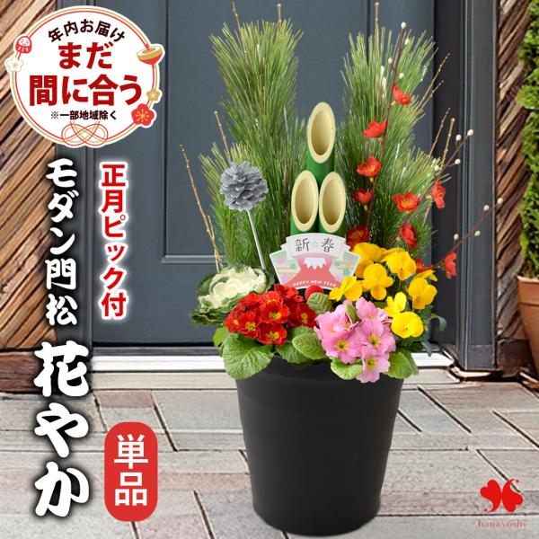 正月 年内お届け 門松 玄関 お正月 迎春 モダン門松 花やか 単品 寄せ植え仕立て 正月飾り お正...