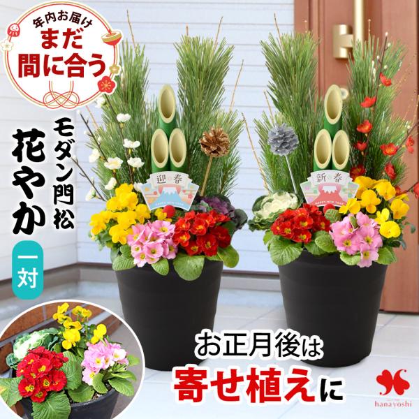 正月 年内お届け 門松 玄関 お正月 迎春 モダン門松 花やか 一対 寄せ植え仕立て 正月飾り お正...