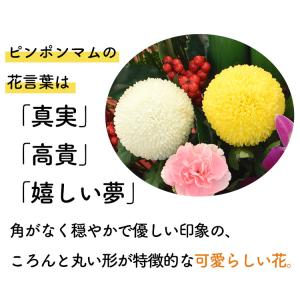 正月 花 門松 生花 アレンジメント 翔馬 華...の詳細画像4