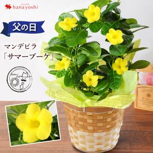 父の日 2022 花 プレゼント 育てる楽しみを贈る父の日の贈り物