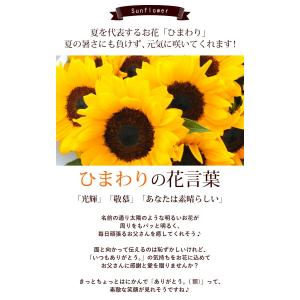 遅れてごめんね 父の日 花とスイーツ 花 ギフ...の詳細画像5