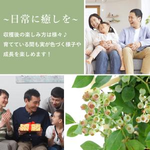 まだ間に合う 地域限定 父の日 ギフト 202...の詳細画像2