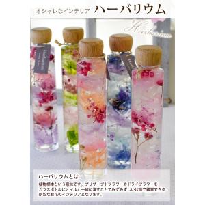 ハーバリウム Herbarium 選べる9種 ...の詳細画像1