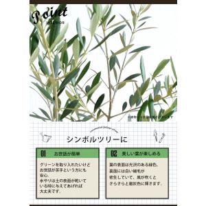 シンボルツリーの寄せ植え <アートストーン鉢で...の詳細画像2