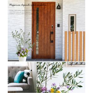 シンボルツリーの寄せ植え <アートストーン鉢で...の詳細画像4