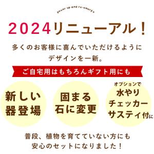 【水分計付き】 選べる 観葉植物 × 選べる器...の詳細画像1