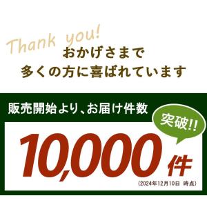 土を使わない 観葉植物 ハイドロカルチャー ガ...の詳細画像3
